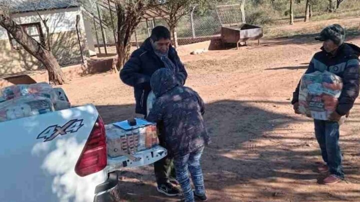 módulos alimentarios familias originarias