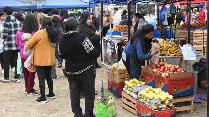 El Mercado en tu barrio