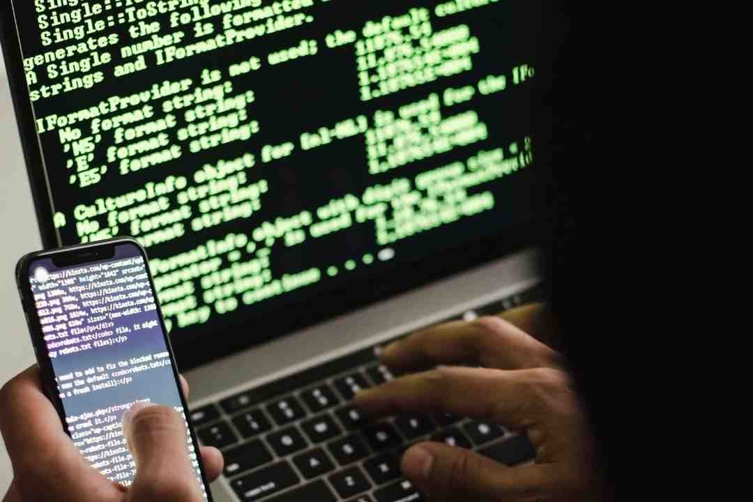 Ciberdelincuencia: Condena en suspenso para un hombre involucrado en una estafa virtual