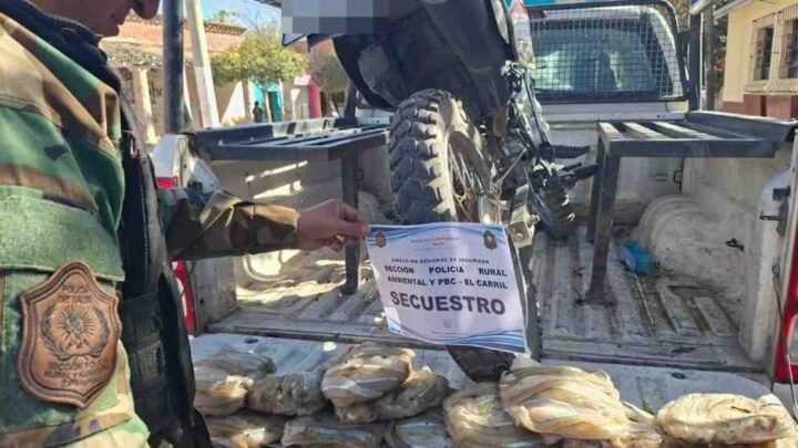 pesca ilegal El Carril