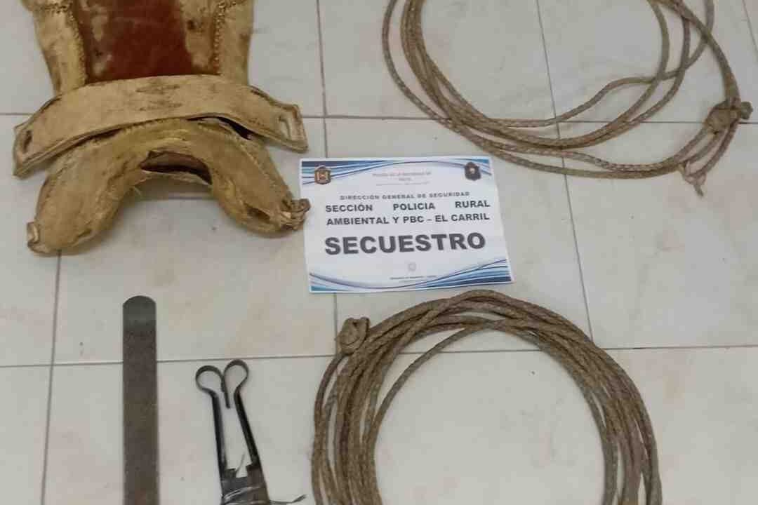 robo finca Rosario de Lerma recuperan bienes avanzan imputación sospechoso
