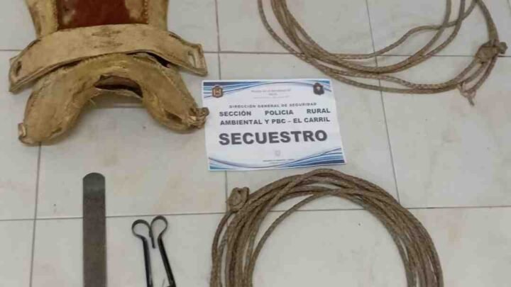 robo finca Rosario de Lerma recuperan bienes avanzan imputación sospechoso