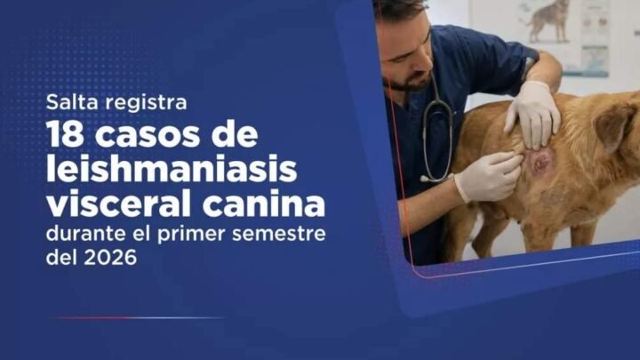 leishmaniasis visceral canina