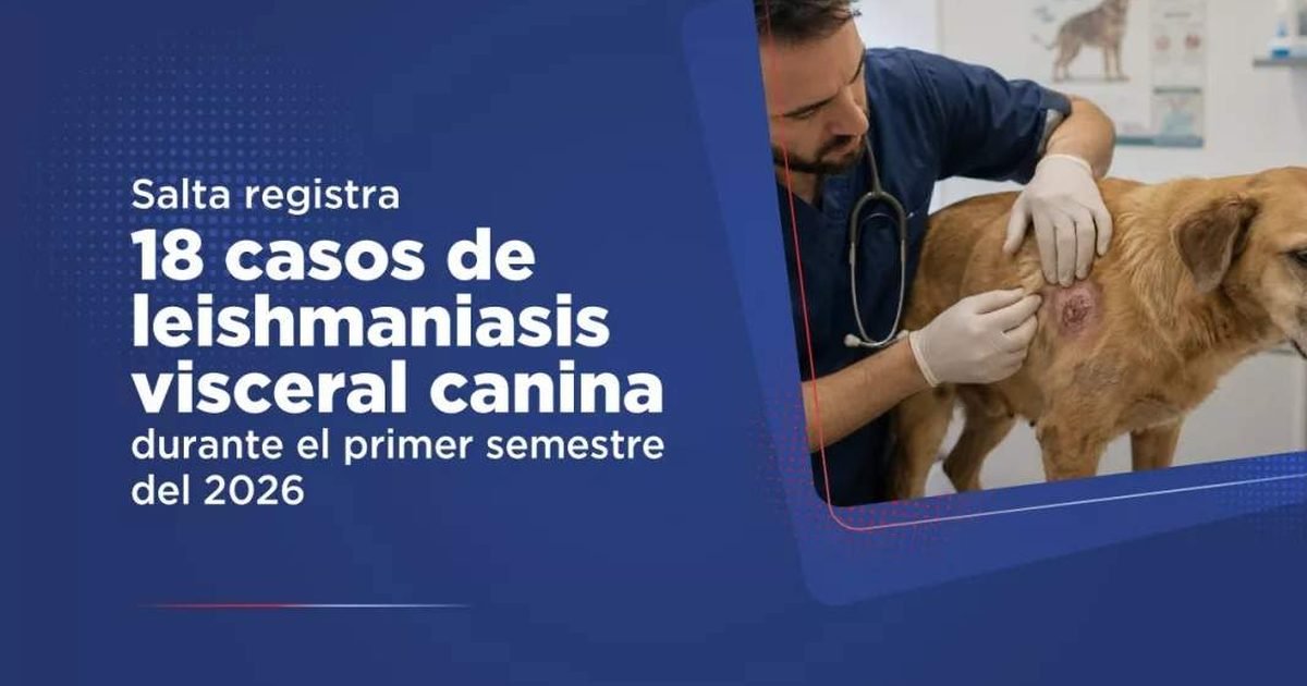 leishmaniasis visceral canina