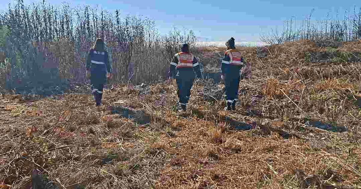 alerta por vientos e incendios