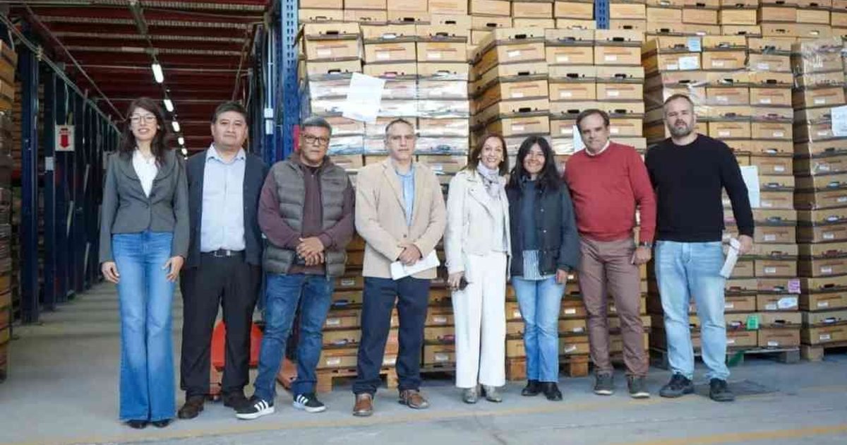expurgo documental Instituto Provincial de Salud