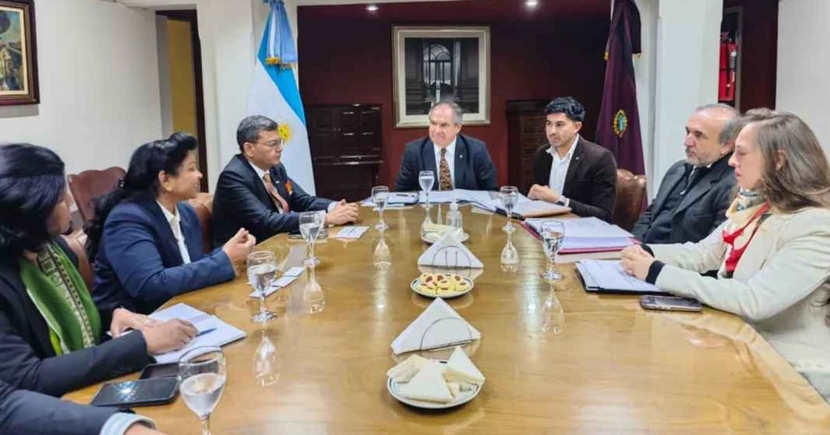 potencial minero de Salta