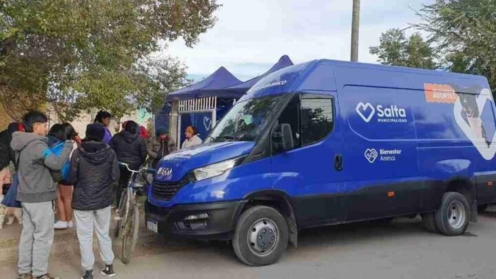 cronograma del Móvil de Castración