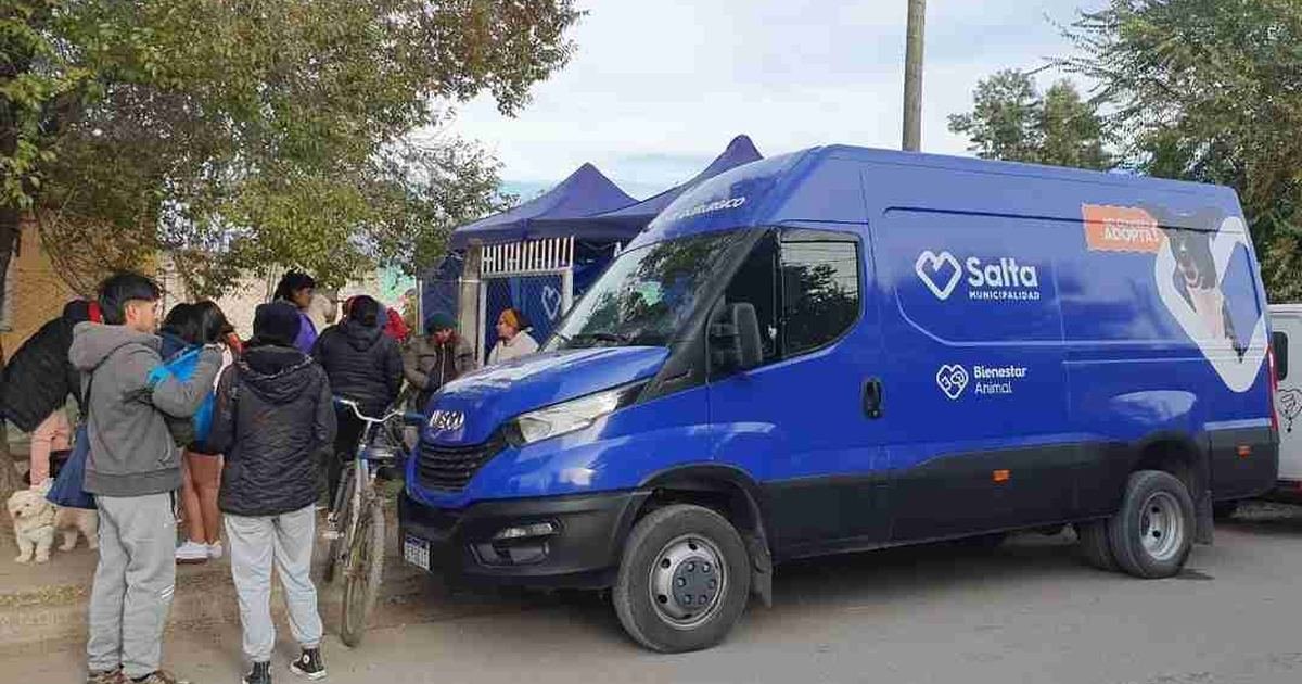 cronograma del Móvil de Castración