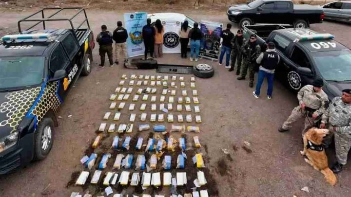 organización narcocriminal Salta