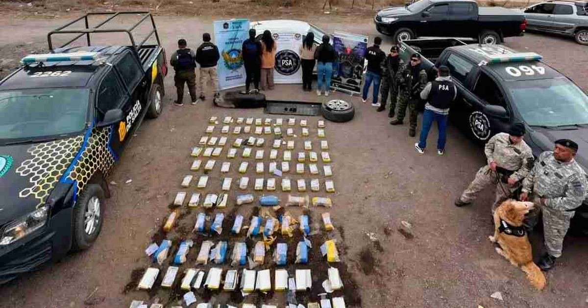 organización narcocriminal Salta