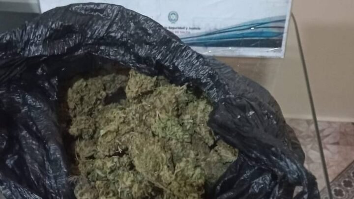 detenidos e incautan drogas