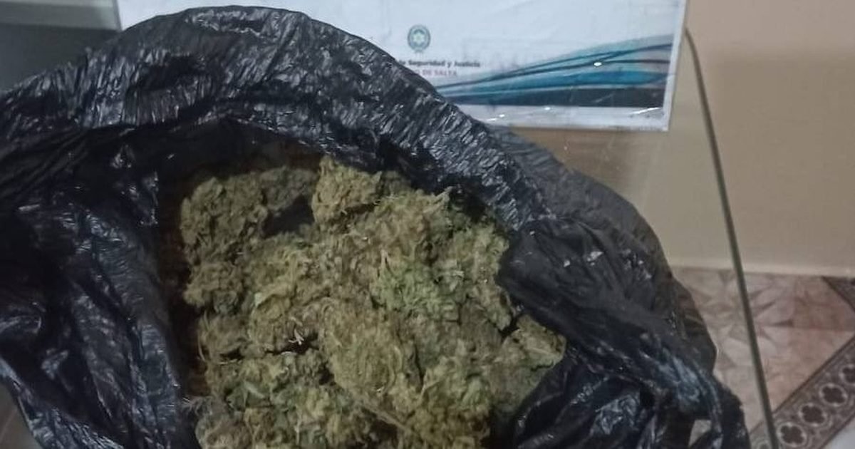 detenidos e incautan drogas