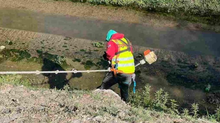 limpieza integral canal Yrigoyen