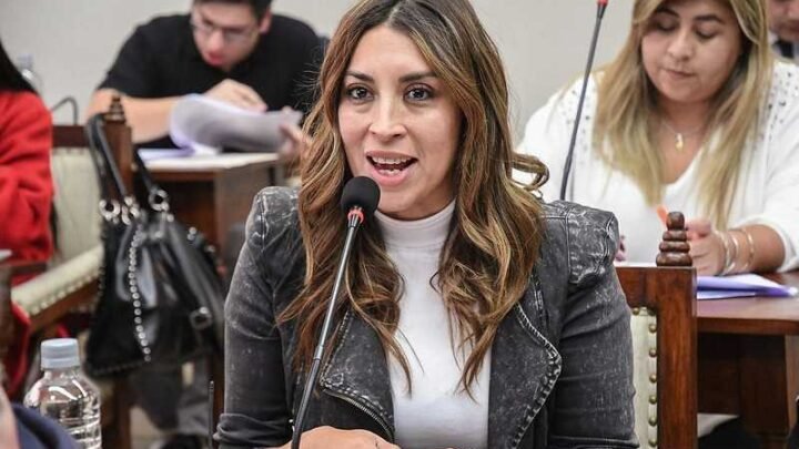 El Concejo rechazó congelar la Unidad Tributaria y acusó a LLA de buscar “poner de rodillas a la ciudad”