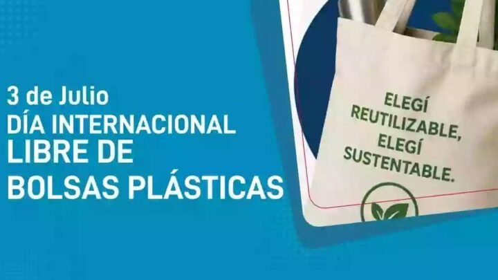 reducción de plásticos de un solo uso