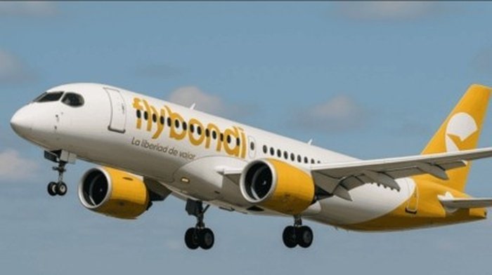 Flybondi crisis 12 días sin vuelos personal suspendido