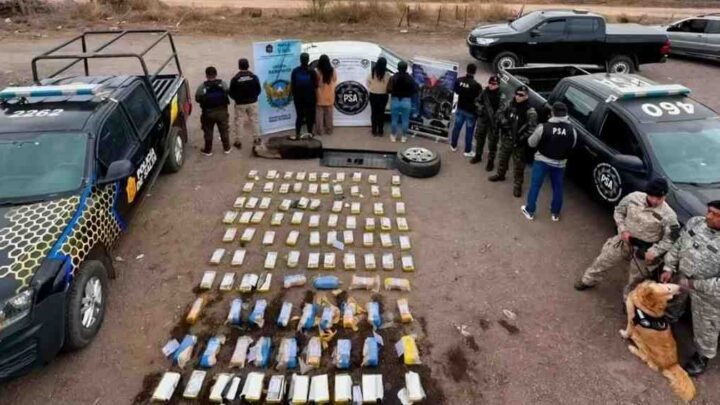 narcotráfico Salta Desarticulan organización narcotraficante más