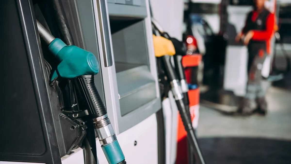 ventas de combustibles Caída junio primer semestre Argentina