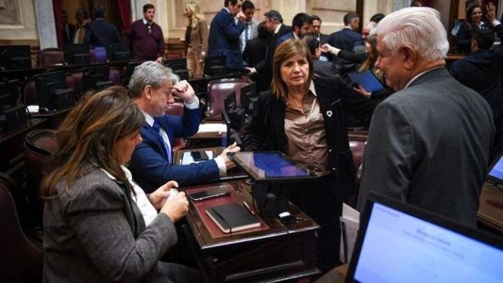 El Senado postergó nuevamente el debate sobre la Ley de Propiedad Privada