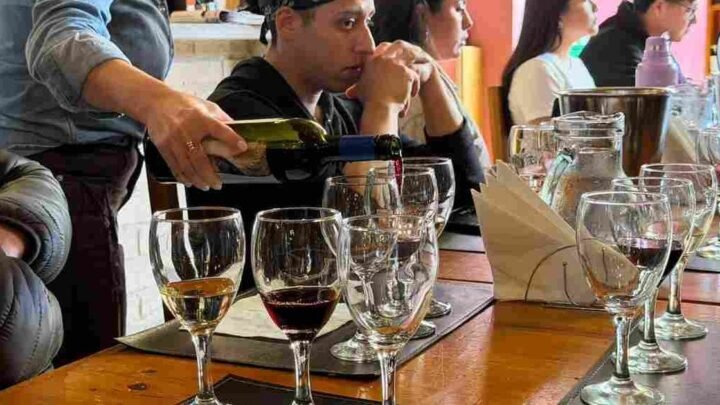 Gastronómicos salteños capacitación Vino de Altura
