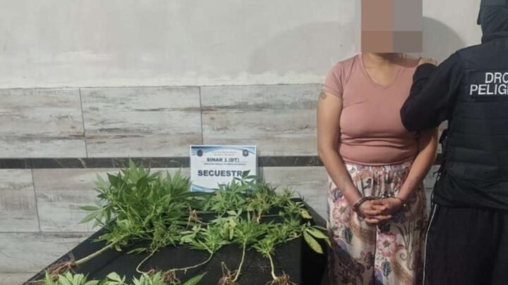 detuvieron a una mujer