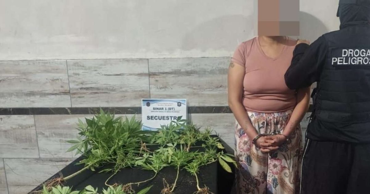 detuvieron a una mujer