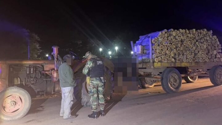 transportar producto forestal sin papeles
