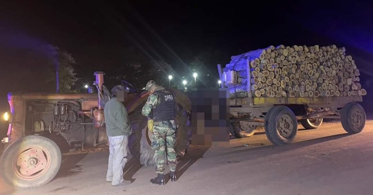 transportar producto forestal sin papeles