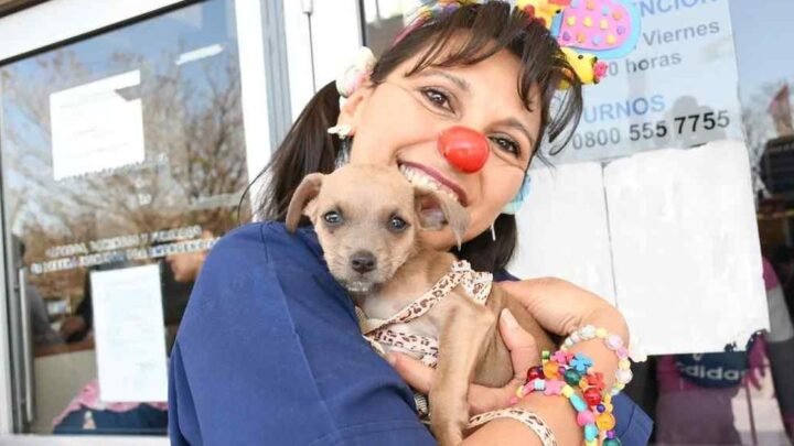 adopción responsable de animales