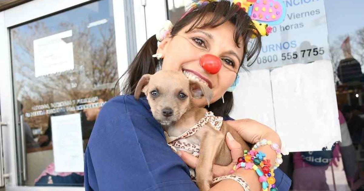adopción responsable de animales