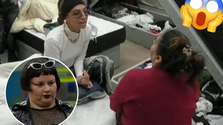 Estrategia definida: Pincoya apunta contra Yipio en la recta final de la placa negativa
