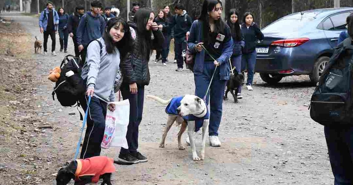 Centro Adopciones habrá celebración honor San
