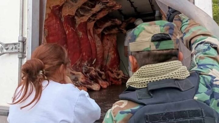 decomisaron carne vacuna
