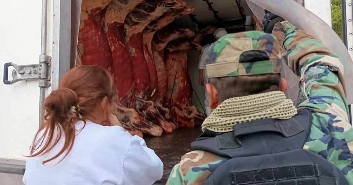 decomisaron carne vacuna