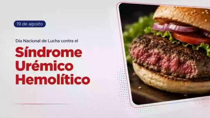 síndrome urémico hemolítico