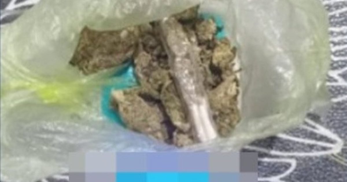 secuestro de marihuana