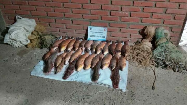 pesca ilegal en Pichanal