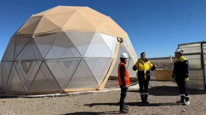 proyecto Rincón avanza banco semillas preservar
