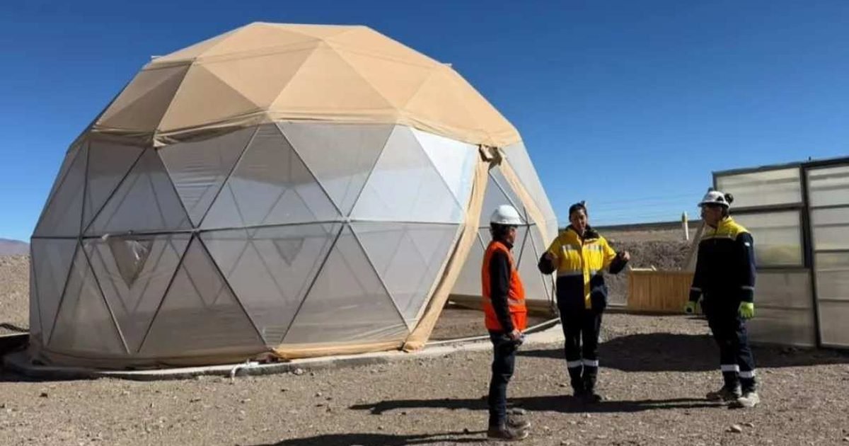 proyecto Rincón avanza banco semillas preservar