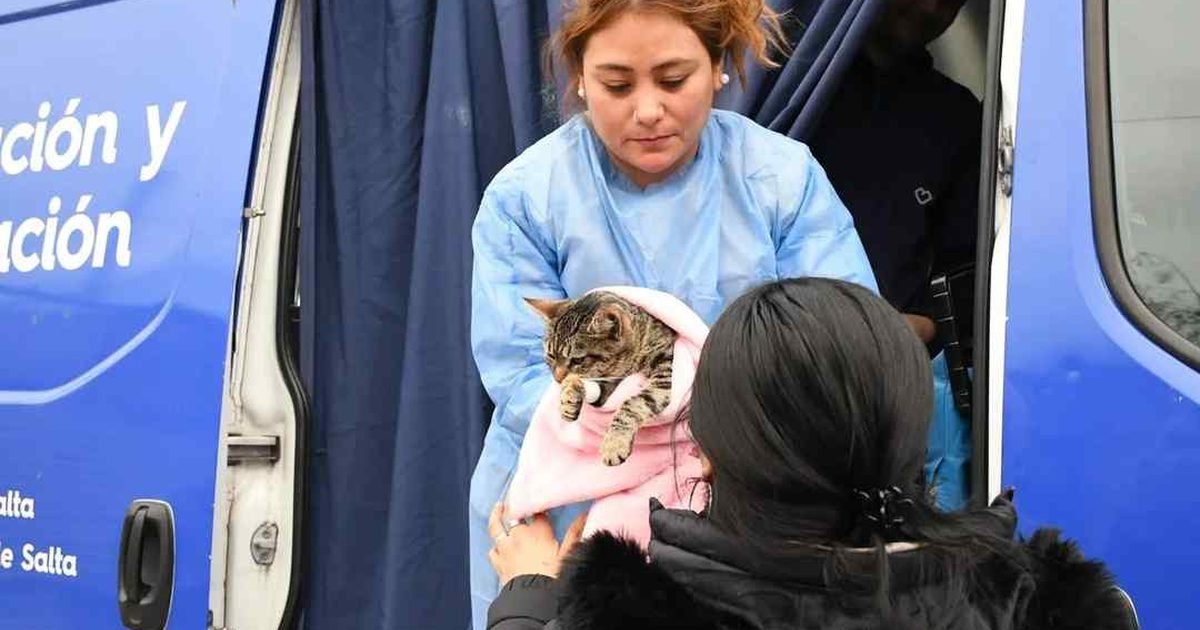 castración en Villa Lavalle