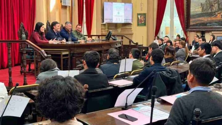 formación legislativa