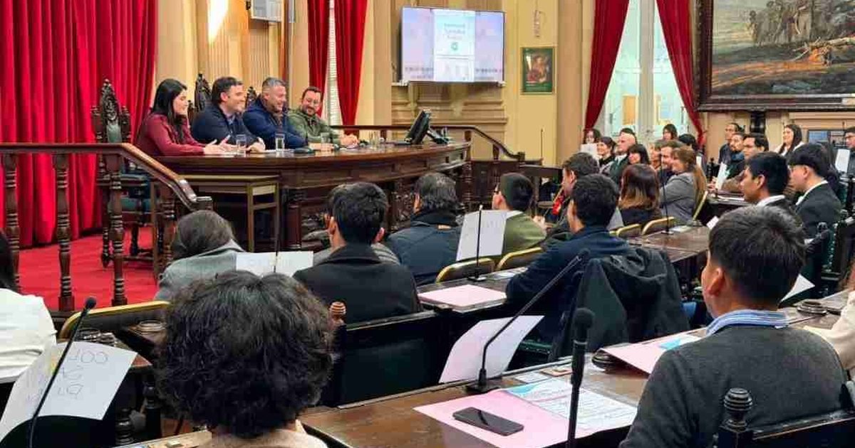 formación legislativa