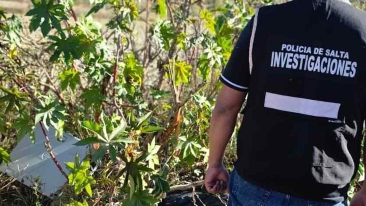 detienen a un hombre y recuperan equipos robados