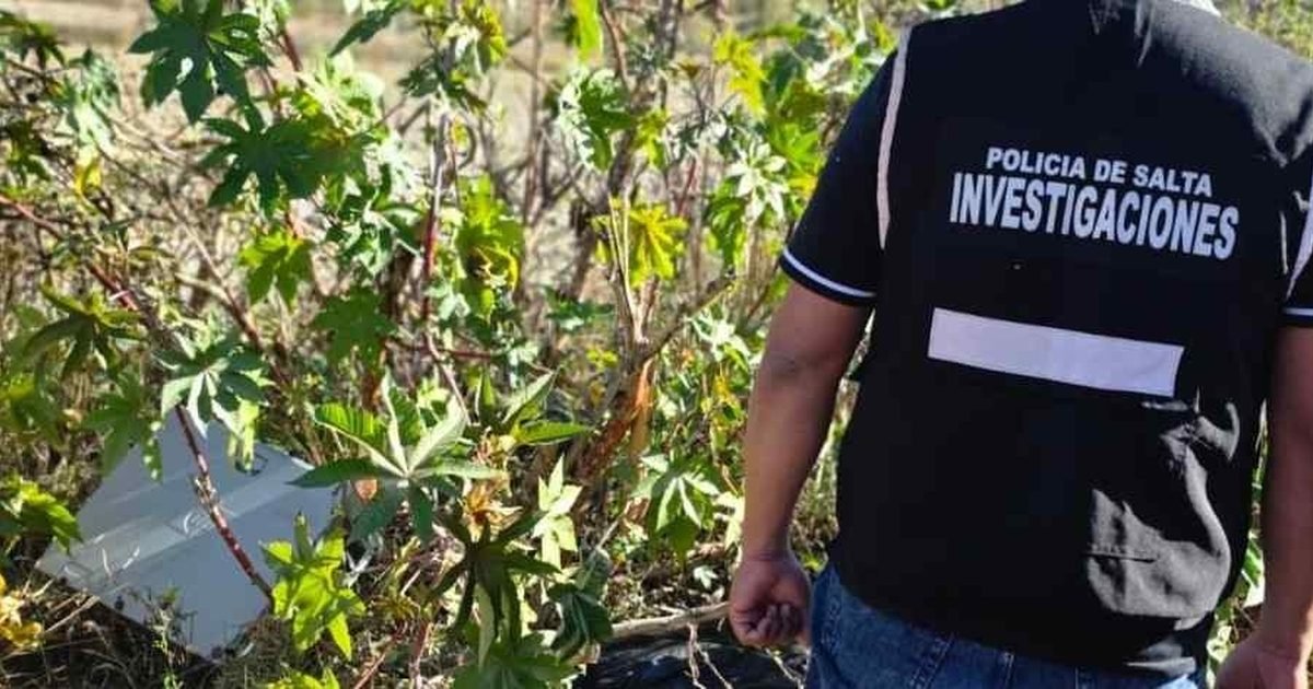detienen a un hombre y recuperan equipos robados