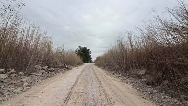 Avenida Gato y Mancha