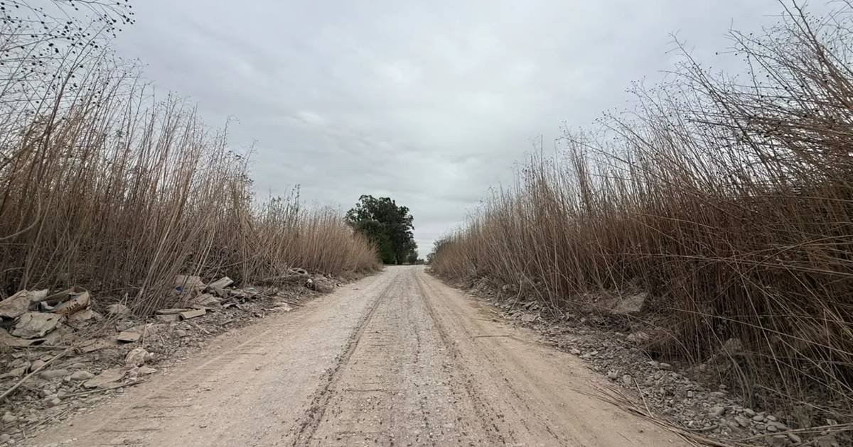 Avenida Gato y Mancha