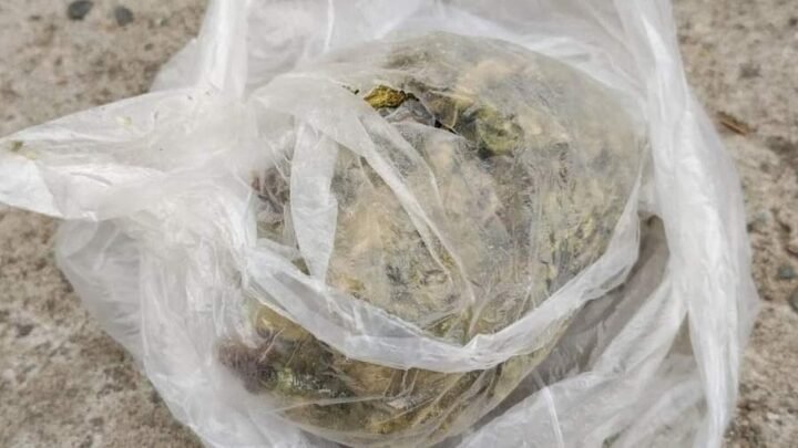 joven con marihuana