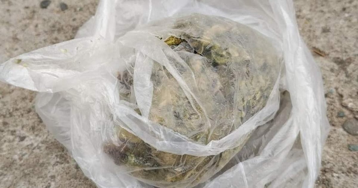 joven con marihuana