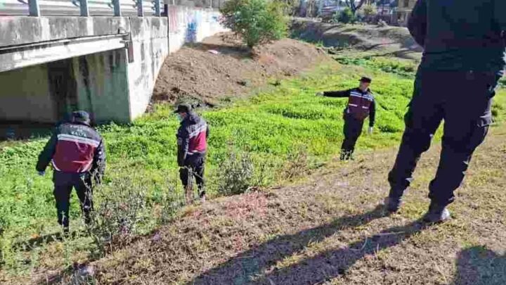 operativo de seguridad